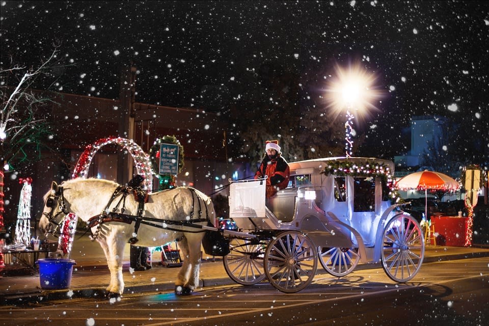 Ride a horse drawn carriage
