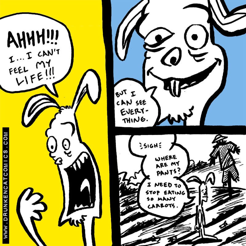 Drunken Cat Comics