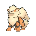 Arcanine