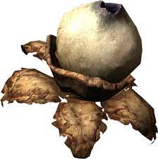 Swamp Fungal Pod