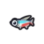Neon Tetra
