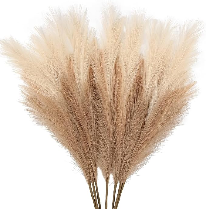 Pampas Grass