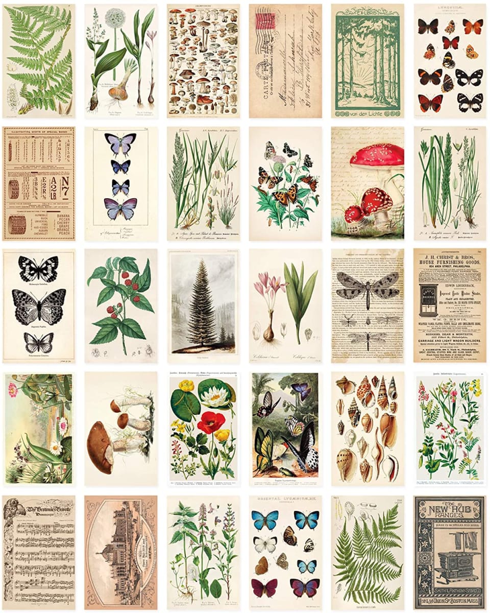 Postcard set botanical