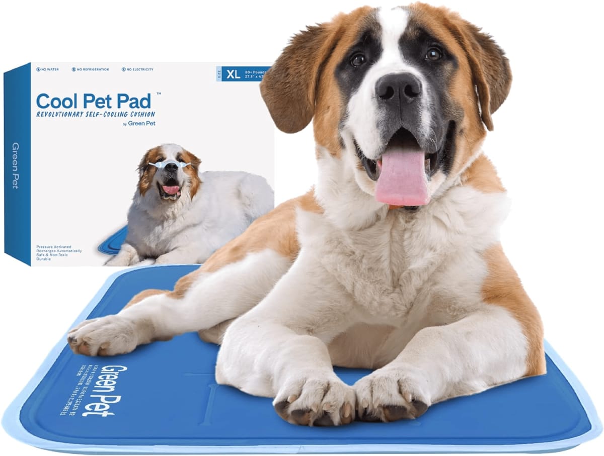 Cooling Dog Beds