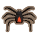 Redback Spider