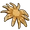 Sunflower Sea Star