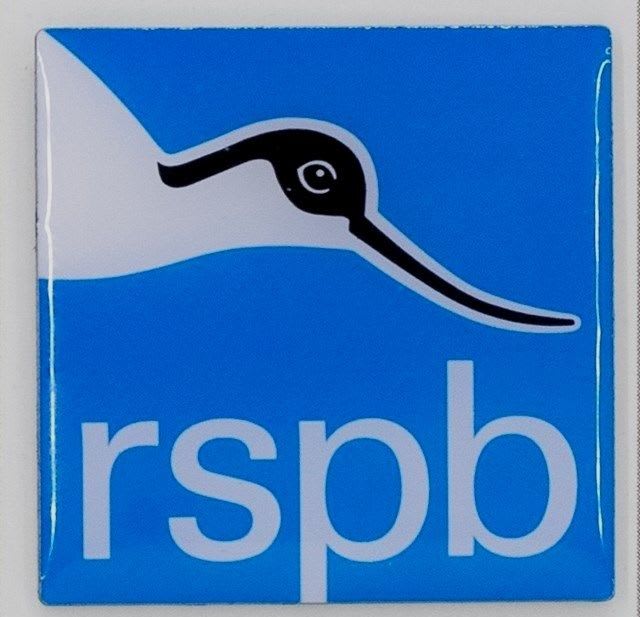 RSPB Logo Lapel