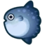 Ocean Sunfish