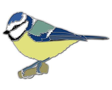 Blue Tit 2
