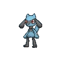 Riolu