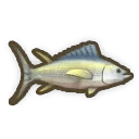 Yellowfin Tuna