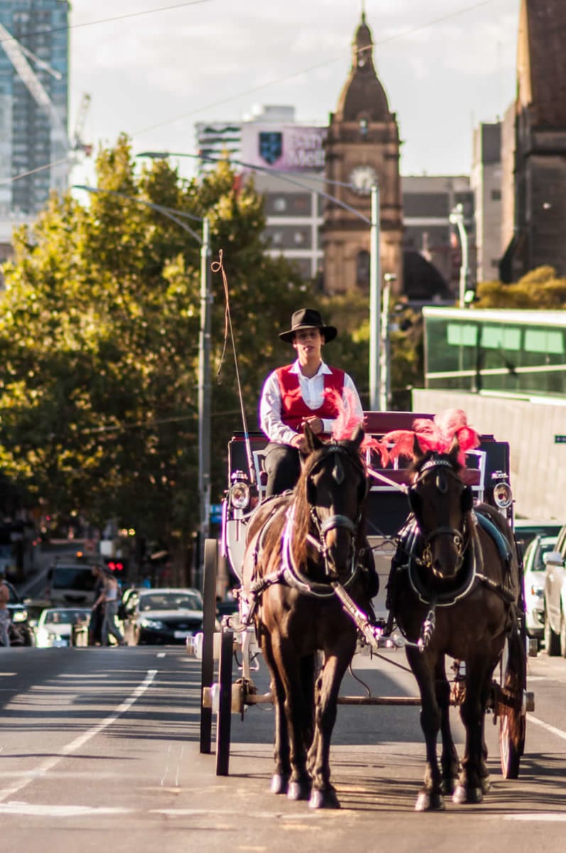 Take a horse-drawn carriage ride through the city