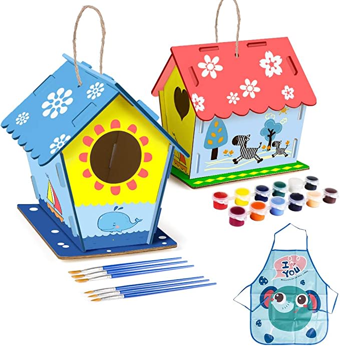 2Pack DIY Bird House Kit for Kids