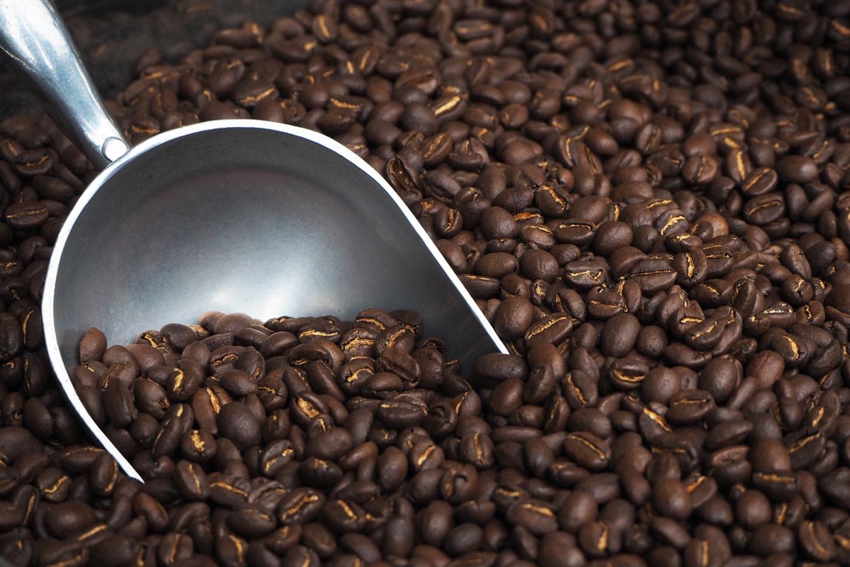 The Best Coffee Beans in Melbourne