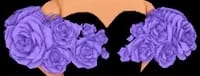 Sleeves of Roses