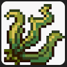 Seaweed