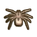 Huntsman