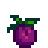 Wild Plum