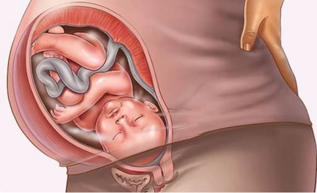 Dilation and Stages of Labor
