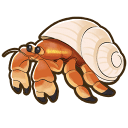 Hermit Crab