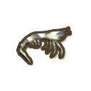 Tiger Prawn