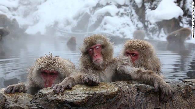 Enjoy hot spring under the snow