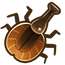 Violin Beetle