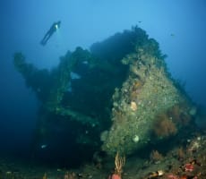 Dive the Liberty Shipwreck