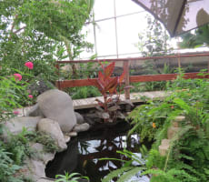 Western Colorado Botanical Gardens and Butterfly House