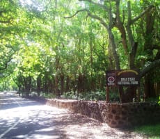 Bras D'Eau National Park
