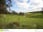 Southern Highlands