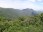 Dorrigo National Park