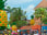 Nago Pineapple Park