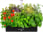 SereneLife Smart Starter Kit-Hydroponic Herb Garden Indoor Plant System w/Height Adjustable LED Grow Lights, 6 pods, 3 Modes-Home Kitchen, Bedroom, Office
