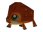 Boar