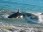 Geraldton