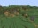 Flowering Mountain