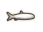 Tarpon