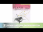 Piano Adventures Gold Star Performance, Primer Level