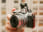 OLYMPUS OM-D E-M10