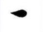 Pop-eyed Goldfish