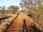 Anne Beadell Track