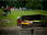 BBQ in the park eoaeoaeoa