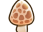 Morel
