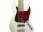 Metroline PJ 5 String Bass