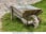 Wheelbarrow