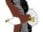 African Fish Eagle