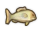 Carp