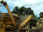 Wood Products