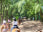 Oceanfront Horseback Beach Trail Ride
